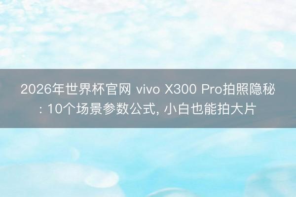 2026年世界杯官网 vivo X300 Pro拍照隐秘: 10个场景参数公式， 小白也能拍大片