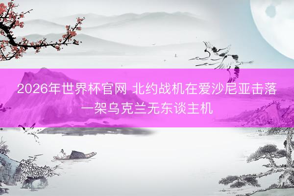 2026年世界杯官网 北约战机在爱沙尼亚击落一架乌克兰无东谈主机