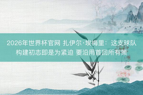 2026年世界杯官网 扎伊尔·埃梅里：这支球队构建初志即是为紧迫 要沿用首回所有策
