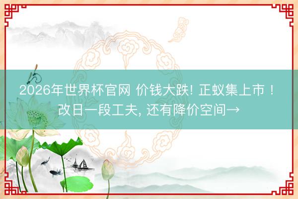2026年世界杯官网 价钱大跌! 正蚁集上市 ! 改日一段工夫， 还有降价空间→
