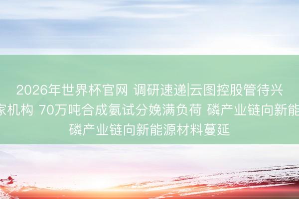 2026年世界杯官网 调研速递|云图控股管待兴业证券等3家机构 70万吨合成氨试分娩满负荷 磷产业链向新能源材料蔓延