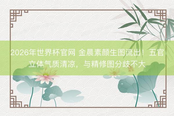 2026年世界杯官网 金晨素颜生图流出！五官立体气质清凉，与