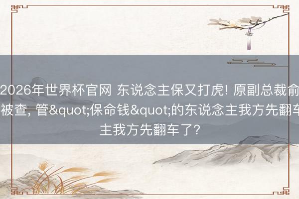 2026年世界杯官网 东说念主保又打虎! 原副总裁俞小平被查， 管"保命钱"的东说念主我方先翻车了?