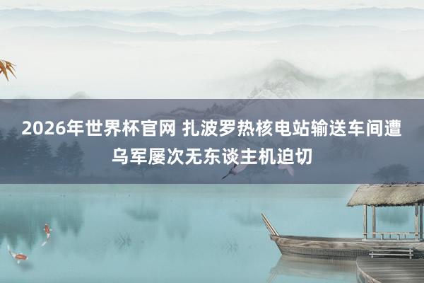 2026年世界杯官网 扎波罗热核电站输送车间遭乌军屡次无东谈主机迫切